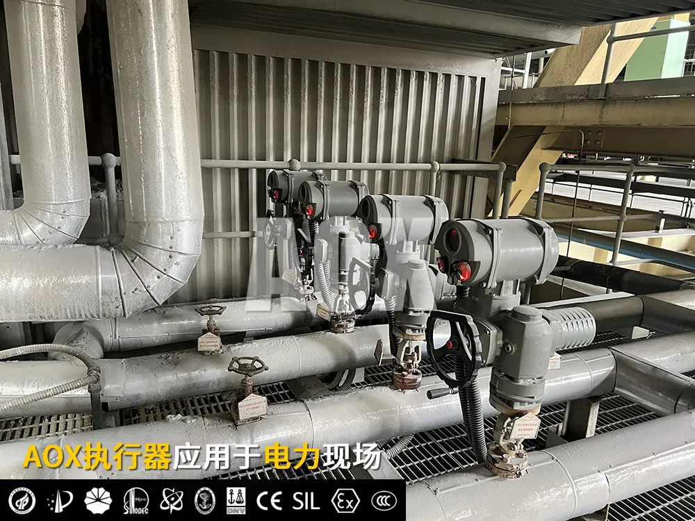 1763781342759291.png 图片2.png