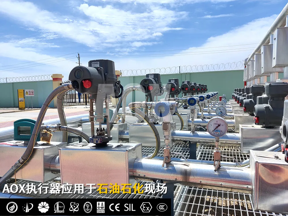 1763781360196997.png 图片3.png