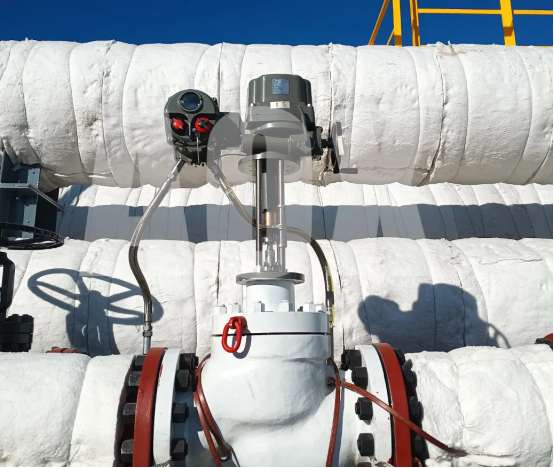 1768877428622486.png 微信图片_20260120104806_741_2.png