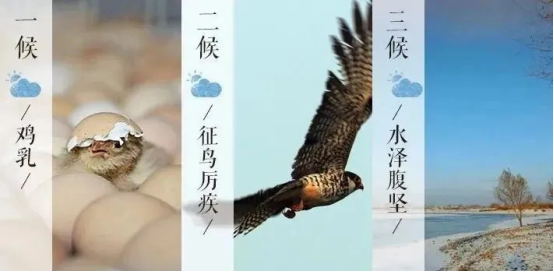 1768877616478118.png adede890d64ad076a85f88a3b11b0db2.png