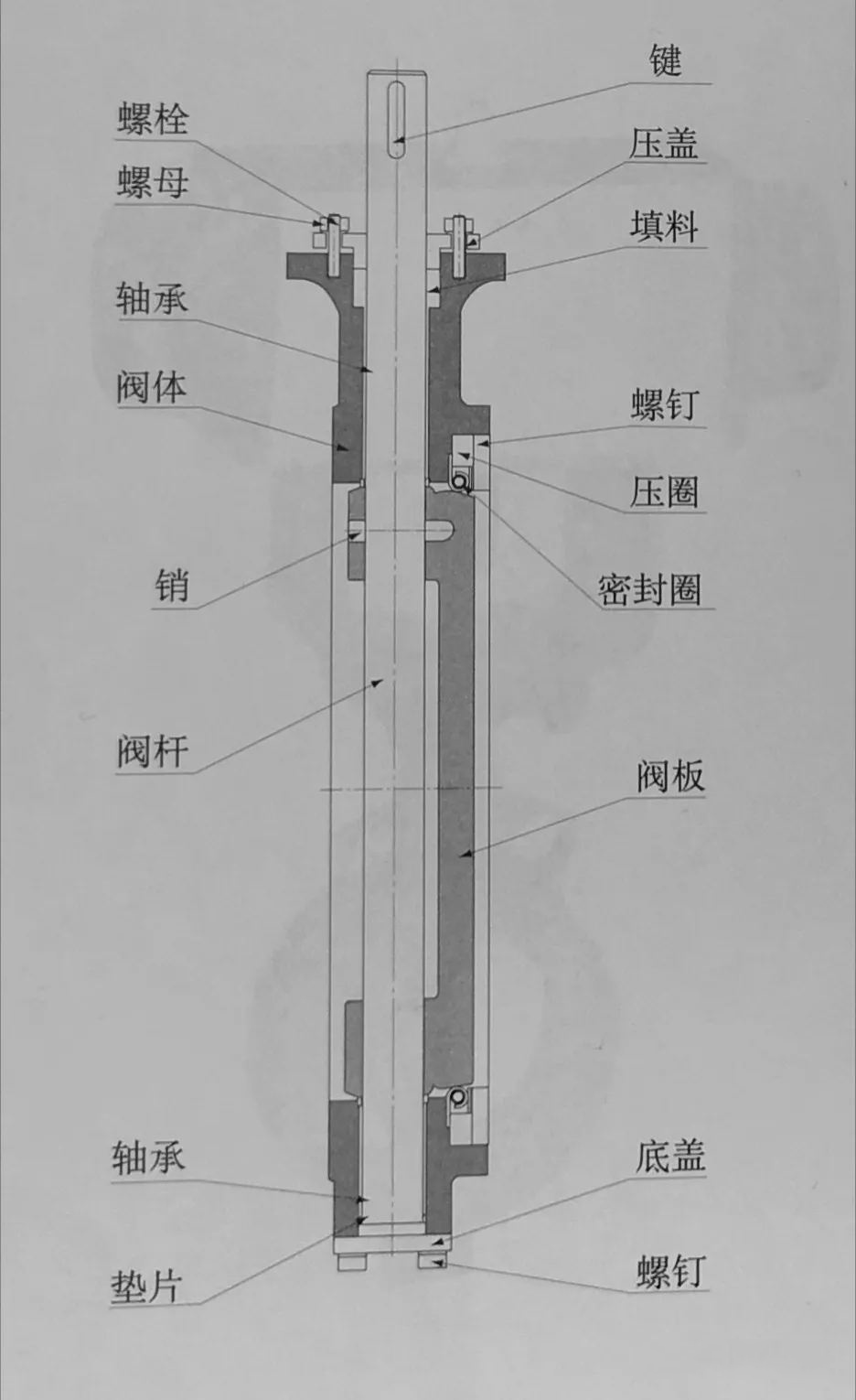 电动双偏心密封蝶阀阀体结构.jpg